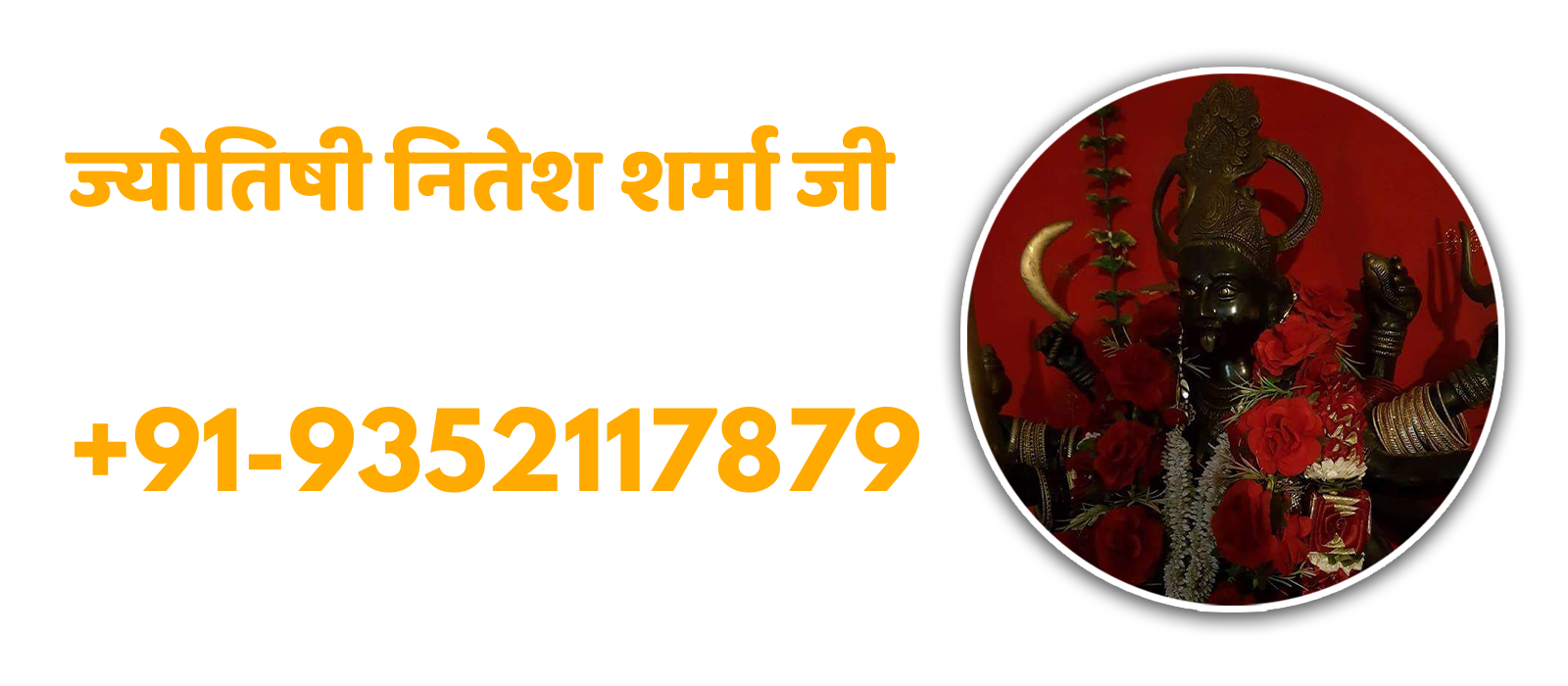 Best Astrologer in India